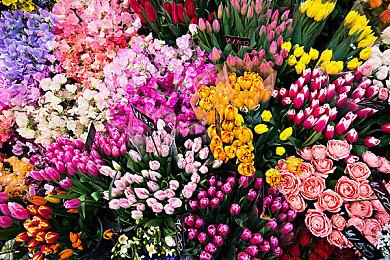 《战神：诸神黄昏》次世代宣传片 身临其境的九界之旅