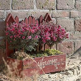 万代《蓝色协议》宣布停服 亚马逊全球版本已被取消